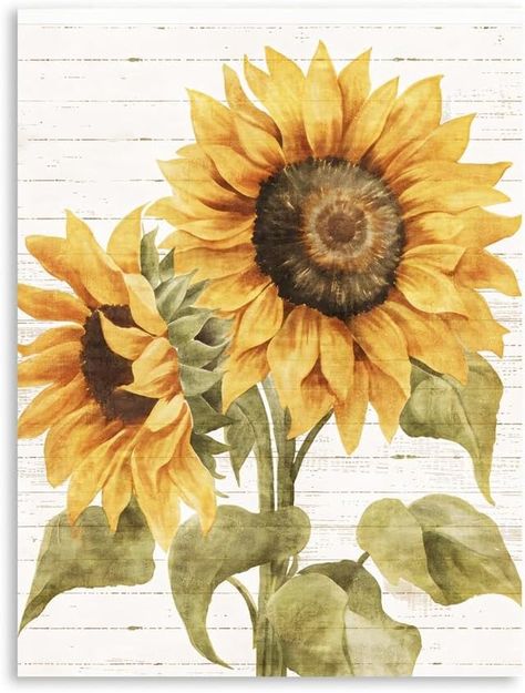 Amazon.com: Sunflower Wall Decor Rustic Flower Canvas Pictures Decor Sunflower Wall Art Painting Farmhouse Floral Print on Canvas for Living Room (12"X16"X1 Panel): Posters & Prints Sunflower Prints, Hd Prints, Canvas For Living Room, Sunflower Wall Decor, Pictures Decor, Wall Decor Rustic, Sunflower Wall Art, Sunflower Canvas, Rustic Flower