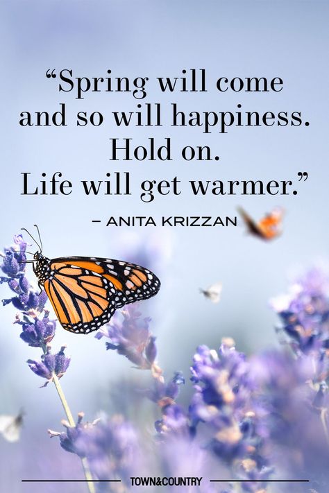 a monarch butterfly on lavender flowers and a quote Butterfly On Lavender, Quotes About Spring, Springtime Quotes, Green Traffic Light, Spring Quotes, Butterfly Dragonfly, Weather Seasons, Spring Wallpaper, Wallpaper Iphone Quotes