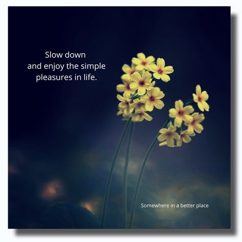 Slow down and enjoy the simple pleasures in life. Enjoy The Weekend Quotes, Simple Pleasures Quotes, The Weekend Quotes, Slow Down Quotes, Down Quotes, Buddha Quotes Life, Enjoy The Weekend, Weekend Quotes, Strength Quotes