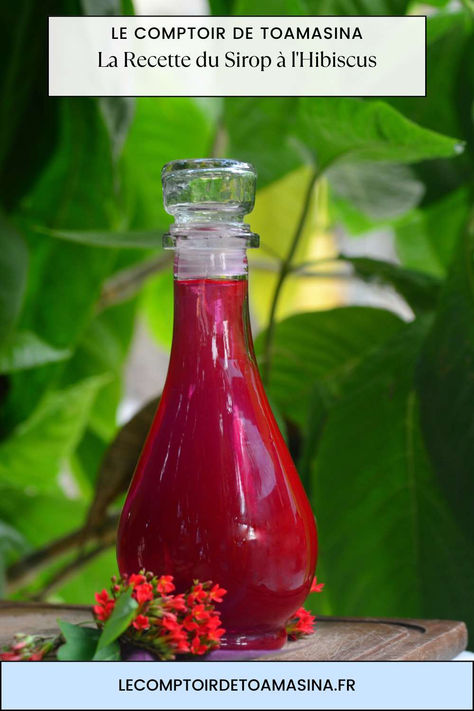 Rafraîchissez-vous avec un délicieux sirop d'hibiscus fait maison ! Cette recette simple et rapide vous permettra de profiter de tous les bienfaits de cette fleur. #siropdhibiscus #recette #boisson #été #santé #naturel #faitmaison #cuisine #gourmandise Hibiscus