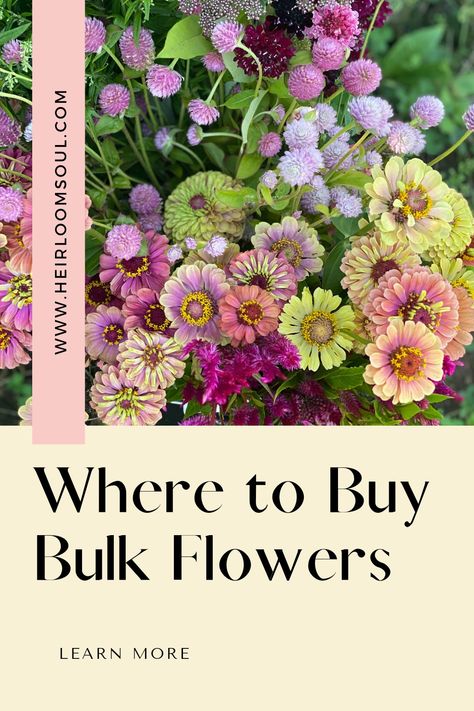 Where to Buy Bulk Flowers — Heirloom Soul Florals Heirloom Flowers, Best Flowers To Grow For Bouquets, Costco Flowers, Bulk Dried Flowers, Orcutt Ranch Horticultural Center Wedding, Bulk Flowers Online, Bulk Wedding Flowers, Growing Cut Flowers, Wholesale Flowers Wedding