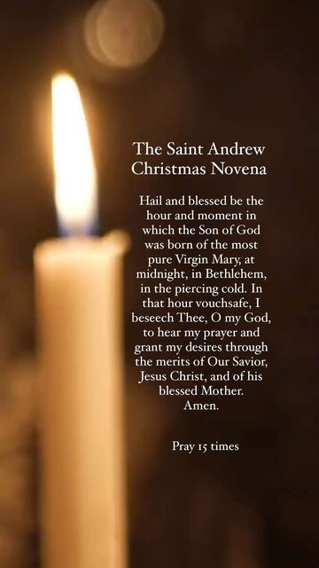 Saint Andrew, The Immaculate Conception, Novena Prayers, St Andrew, Advent Season, Todo List, St Andrews, The Saint, Advent