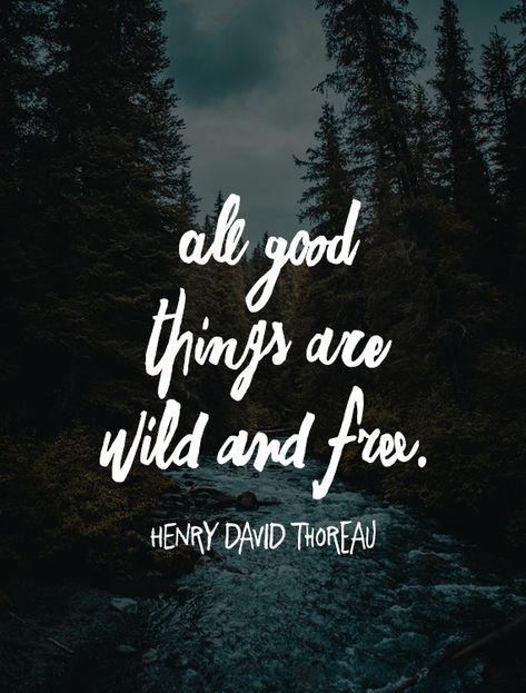 Quotes About Wilderness, Deer Quotes Nature, Wild Nature Quotes, Being In Nature Quotes, Quotes About Nature Beauty Outdoors, Jungle Quotes Wild, Wild Quotes Nature, River Quotes Inspirational, Wild Boy Quotes