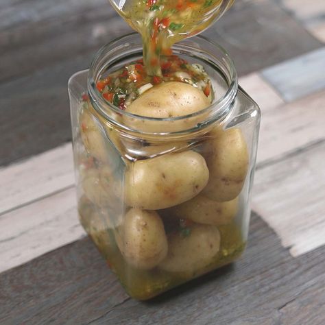 Recipes Learn Potatoes, Marinated Potatoes In A Jar, Pickled Baby Potatoes, Pickled Potatoes Recipe, Pickled Potatoes, Pickled Items, Pickled Vegetables Recipe, Canned Potatoes, Riced Veggies