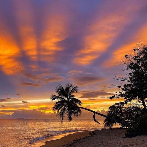 PUERTO RICO 🇵🇷 on Instagram: "Dicen que los mejores atardeceres de Puerto Rico se dan en Rincón ☀️🫶🏻🇵🇷 ¿Y tu que opinas? 📸: @aalmodovar_alexis #PuertoRico #PuertoRicoGram #PR #Sunset #Rincon" Puerto Rico Aesthetic, Rincon Puerto Rico, Travel Tips And Tricks, Central America Travel, Travel Outfits, Usa Travel Destinations, Island Vibes, Travel South, South America Travel