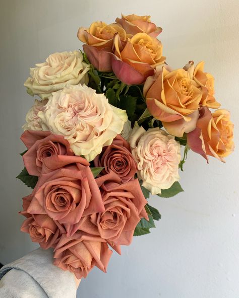 Bulk Wedding Flowers, Diy Bouquets, Rose Varieties, Flower Guide, Flower Therapy, Beautiful Flower Arrangements, Luxury Flowers, Wholesale Flowers, Pretty Plants