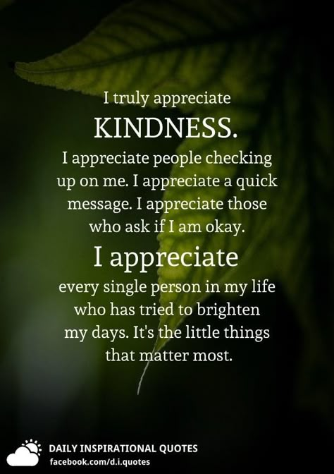 I truly appreciate KINDNESS. I appreciate people checking up on me. I appreciate a quick message. I appreciate those who ask if I am okay. I appreciate every single person in my life who has tried to brighten my days. It's the little things that matter most. Beautiful Heart Quotes, Quotes About Being Thankful, Appreciate You Quotes, Wonderful Day Quotes, Thank You Quotes Gratitude, Kind Quotes, Christians Quotes, Action Quotes, Kindness Challenge