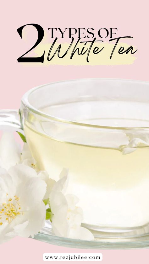 White tea is a delicate and refreshing beverage that many tea lovers enjoy around the world. Here are the two types of white teas we can enjoy! Benefits Of White Tea, White Tea Benefits, Types Of White, Tea Health, Tea Health Benefits, Cuppa Tea, Tea Brands, Healthy Benefits, Types Of Tea