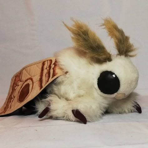 Looking for the artist that created this adorable moth! I tried reverse image search, and can't find them anywhere Moth Plush, Cute Moth, Pretty Animals, Cute Stuffed Animals, Cute Plush, Cute Creatures, Plush Animals, Cute Little Animals, Cute Dolls