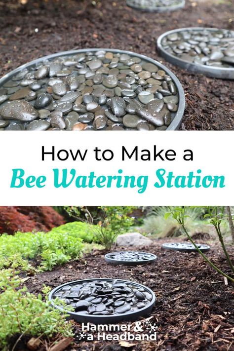 Bee bath watering station made with concrete planter saucers and gray river rocks Beekeeping Water Source, Water For Bees Ideas, Birdbath Ideas Landscaping Focal Points, Flower Garden For Bees, Bee Waterer Station, Bee Fountain Diy, Butterfly Bath Diy, Diy Birdbath Ideas Simple, Bee And Butterfly Waterer