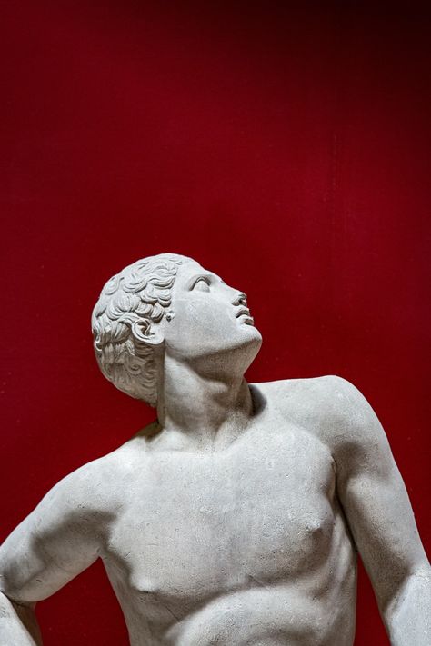 Grecian male statue looks up on red background photo – Free Carrara Image on Unsplash Sculpture Images, Roman Statue, Concrete Statues, Greek Statues, Photos Hd, Bird Sculpture, Sea Glass Art, Art Model, Red Background