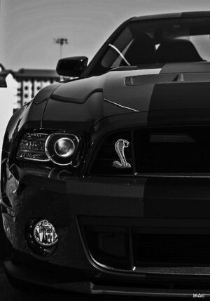 Siyah Mustang, Black Mustang Gt, Ford Mustang Wallpaper, Мотоциклы Harley Davidson, Black Mustang, Mustang Wallpaper, Camaro Car, Mustang Gt500, Shelby Mustang