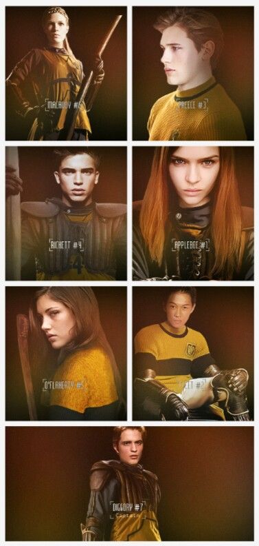 Hufflepuff Quidditch Team Harry Potter Hufflepuff Quidditch, Quidittch Harry Potter, Hufflepuff Quidditch Uniform, Quidditch Hufflepuff, Chaser Quidditch, Beater Quidditch, Slytherin Quidditch Team, Hogwarts Brief, Hufflepuff Quidditch