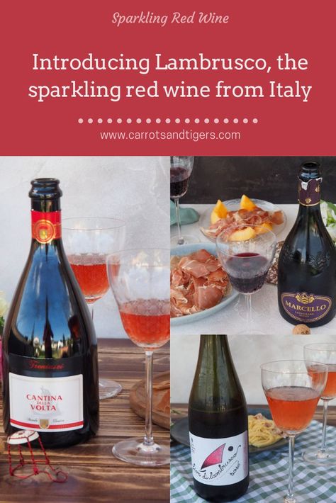 Introduction and tasting notes on three Lambrusco wines, the sparkling red wines from Italy Lambrusco Wine, Sparkling Red Wine, Food Pairing, Italy Wine, Food Experiences, Food Pairings, Sparkling Wine, Best Food, Best Foods