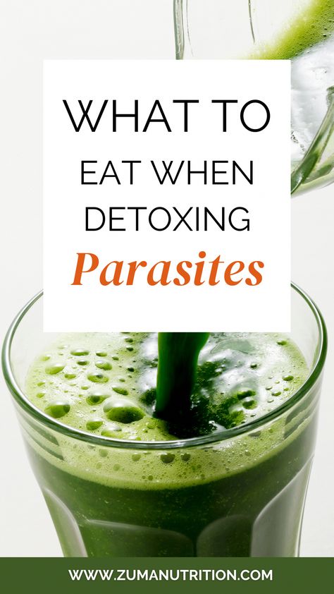 Learn about what foods to eat during a parasite detox cleanse. A parasite detox diet will make a parasite cleanse safer and easier on the body. Click here to learn more! Parasite Cleanse Food List, Parasite Cleanse Before And After, Parasite Cleanse Smoothie, Antiparasitic Food, Anti Parasite Diet, Remove Parasites Naturally, Anti Parasitic Foods, Parasite Cleanse Tea, Parasite Cleanse Diet Recipes