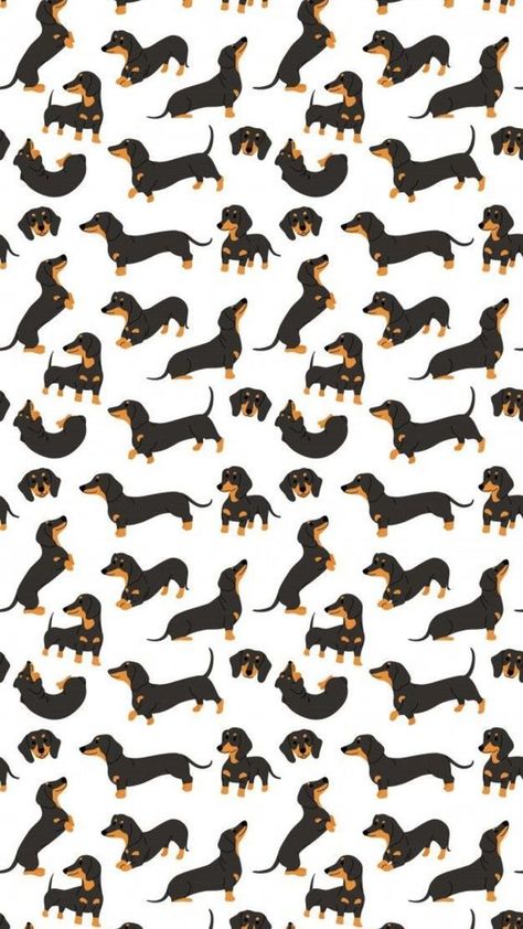 Cute Dachshund Wallpaper, Weiner Dog Wallpaper, Dachshund Wallpaper Iphone, Dachshund Background, Daschund Wallpaper, Dachshund Wallpaper, Arte Dachshund, Tatoo Dog, Dog Design Art