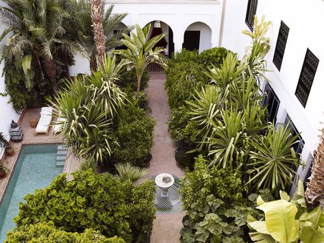 In the heart of The Red City of Marrakech, Medina to be specific lies L’Hôtel — Jasper Conran’s palatial getaway. Best Riads In Marrakech, Riads In Marrakech, Moroccan Garden, Jasper Conran, Marrakech Morocco, Conde Nast Traveler, Paying Attention, Courtyard Garden, Rooftop Terrace