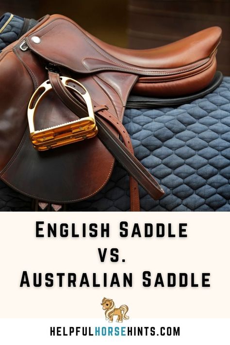 Horse riding is a popular recreational activity among children and adults. With many saddle types in the market today, choosing one can be tedious. We will discuss two basic saddle types common in riding: the English and Australian saddles. Explore the structure, features, and differences between these saddles in this post. #horse #pads #drawing #jumping #riding #aesthetic #helpfulhorsehints English Saddle Pads, Australian Saddle, Riding Aesthetic, Horse Room, Horse Information, Saddle Pads English, Saddle Fitting, Horse Riding Tips, Horse Things