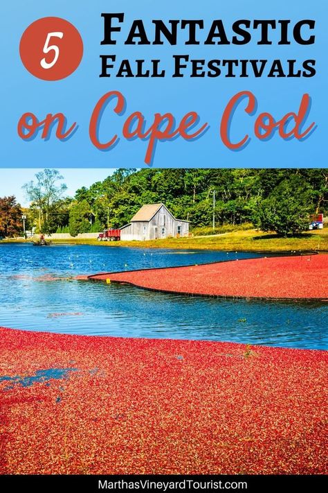 How To Dress For Cape Cod, Cape Cod Fall Vacation, Cape Cod Autumn, Cape Cod October, Cape Cod In October, Cape Cod Things To Do Fall, Cape Cod In The Fall, Cape Cod National Seashore, Cape Cod Fall Outfits