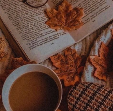 Cozy Autumn Aesthetic Pictures, Cozy Fall Aesthetic Playlist Cover, Fall Asthetic Photos Vintage, Cozy Autumn Aesthetic Widget, Cozy Fall Aesthetic Widget, Fall Pics For Widgets, Fall Aesthetic Profile Pic, Autum Widgets Aesthetic, Cozy Fall Widgets