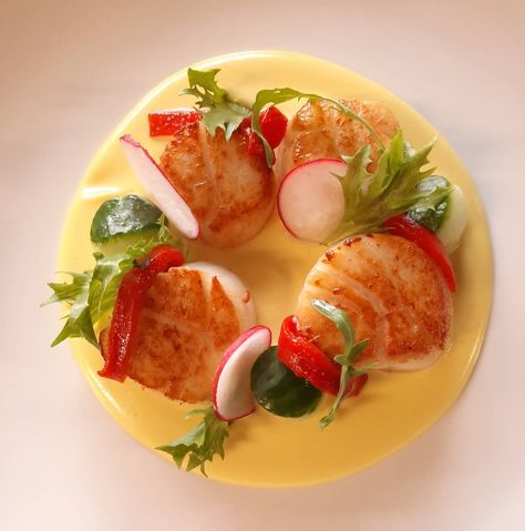 Scallop Starter Fine Dining, Scallop Presentation, Scallop Plating, Scallop Starter, Scallop Appetizer, Saffron Sauce, Chef Jobs, Ny Strip, Scallop Recipes