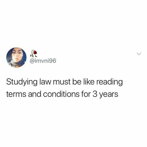 Law School Memes, Law Humor, Law School Humor, In Laws Humor, Study Vibes, Studying Law, Student Humor, So Relatable, School Memes