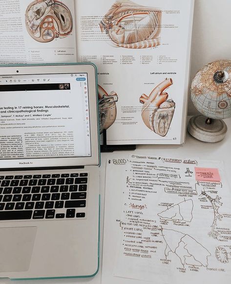 Vet Study Aesthetic, Vet Student Aesthetic Wallpaper, Studying Veterinary Medicine Aesthetic, Vet Asthetic Pics, Aesthetic Vet Pictures, Veterinary Study, Veterinary Medicine Student, Vet School Motivation, Thoracic Cavity