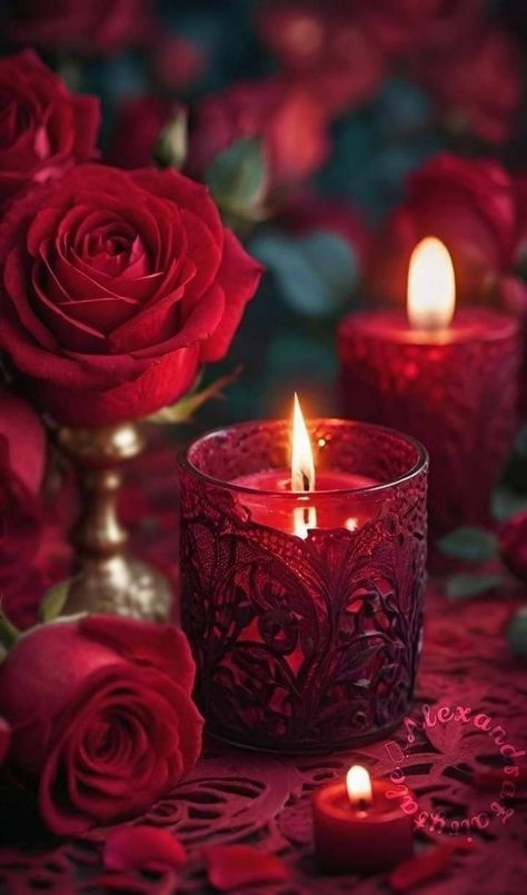 Christmas Wallpaper Hd, Red Bouquet Wedding, Nature Iphone Wallpaper, Iphone Wallpaper Hd Nature, Lovely Flowers Wallpaper, Candle Aesthetic, Rose Candle, Red Candles, Jar Lights