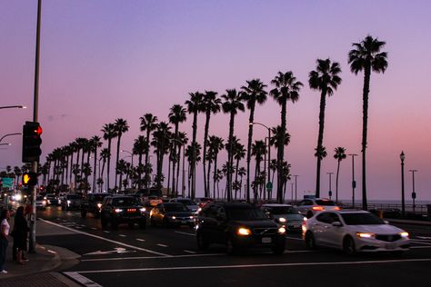 #california #sunset #palmtrees Early 2000s California Aesthetic, California 2000s, Cali Sunset, Cali Vibes, Huntington Beach California, Landscape Sky, California Vibe, Girl Vibe, California Sunset