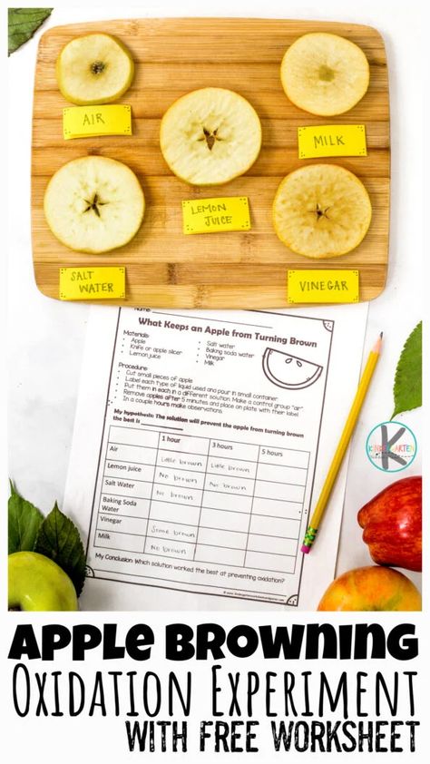 Apple Taste Test Graph, Apple Experiments For Kids, Dan Jabuka, Preschool Apple Worksheets, Watercolor Salt, Apple Science Experiments, Kids Science Fair Projects, Apple Science, Taffy Apple