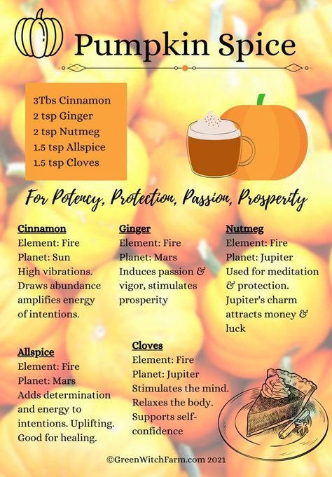 Pumpkin Spice Witchcraft, Traditional Mabon Foods, Seasonal Witchcraft, Samhain Food, Mabon Recipes, Defensive Magic, Witchy Plants, Samhain Recipes, Samhain Traditions