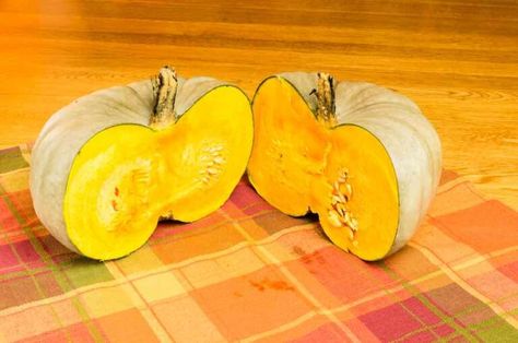 Jarrahdale Pumpkin, Blue Hubbard Squash, Pumpkins For Sale, Pumpkin Varieties, Elegant Pumpkins, Planting Pumpkins, Large Pumpkins, Cinderella Pumpkin, Growing Pumpkins