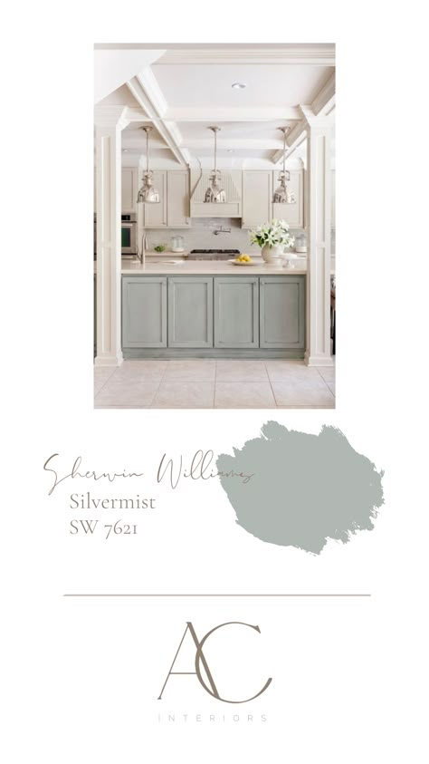 Silvermist Cabinets Sherwin Williams, Pale Oak Vs Repose Gray, Inside Home Paint Colors, Silvermist Sherwin Williams Kitchen, Sw Silvermist Bathroom, Quietude Sherwin Williams Kitchen, Sw Willow Leaf, Silvermist Cabinets, Rainwashed Sherwin Williams Kitchen