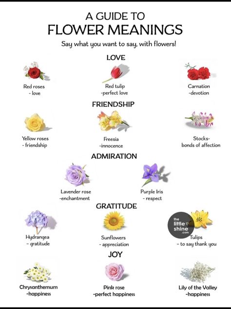 The Meaning Of Flowers, Flower Language, Flower Types, Yandere Games, Different Types Of Flowers, Flower Meanings, Rose Lily, Purple Iris, Language Of Flowers