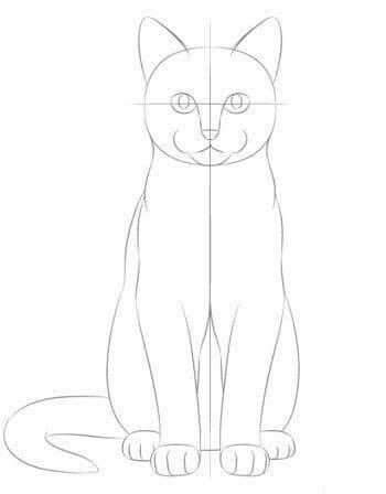 Cat Sketch Aesthetic, Cat Sketch Tutorial, Cat Sketch Realistic, Cat Face Sketch, Sketch Book Ideas Aesthetic, Sketch Realistic, Sketch Cat, Cat Face Drawing, Sketch Book Ideas