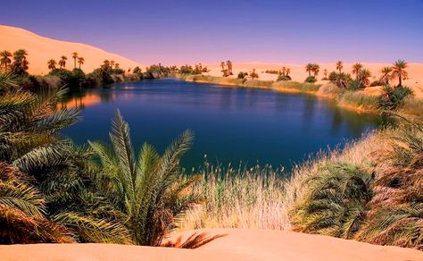 Ubari Lakes | The beautiful oasis in the Sahara desert Beautiful Landscape Photography, Desert Life, Desert Oasis, Sahara Desert, Libya, Desert Landscaping, In The Desert, Sand Dunes, Pictures To Draw