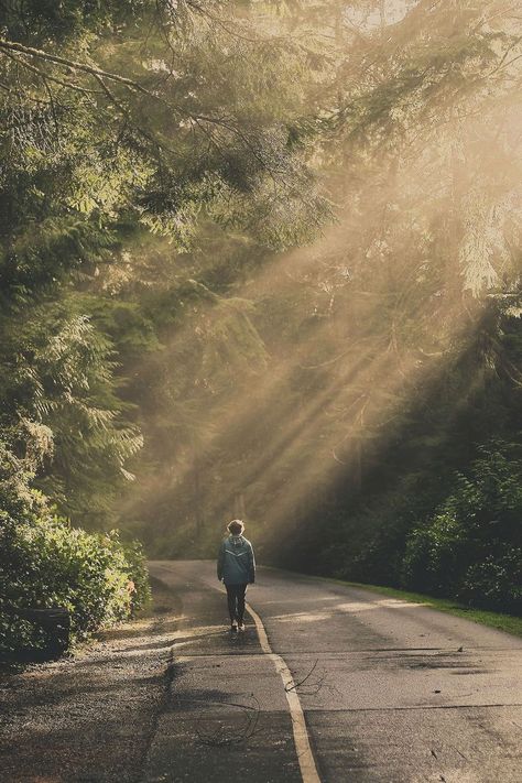 Alone Photography, Trik Fotografi, 2023 Vision, 인물 사진, Adventure Awaits, 그림 그리기, A Walk, The Forest, The Great Outdoors