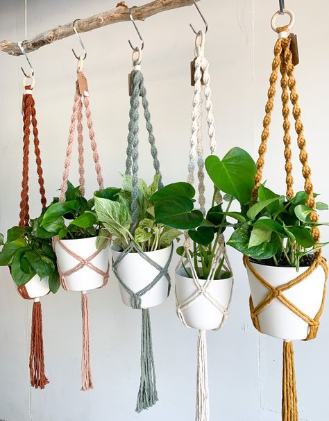 Display your favorite house plant in a macramé plant hanger! Handmade with a wooden ring & 100% cotton cord, available in 5 colors. In the product photos, the plant hangers are holding pots with a 5.5"-6.5" diameter, but they can hold plants a little bit larger & smaller as well! Dimensions Length without pot: approx. 43" Length with 5.5" pot: approx. 40" Turnaround time + shipping Each plant hanger is handmade to order! Please allow for 3-5 business days before it ships off to you. Custom Reque Spiral Macrame Plant Hanger, Spiral Plant, Plant Hanging, Green Things, Macrame Plant Holder, Plant Hangers, Macrame Plant Hangers, Wooden Ring, Planter Pots Indoor