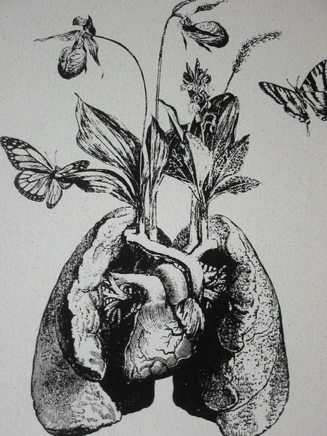 Hanahaki Disease Art Lungs, Lung Tattoo, Lung Art, Lungs Art, Medicine Art, Human Lungs, Lady Slipper Orchid, Flower Sketches, Medical Art