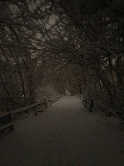 Night Snowing Aesthetic, Liminal Snow Aesthetic, Grey Hour Snow, Snowing At Night Aesthetic, Snow Pics At Night, Cold Winter Aesthetic Dark, Snowy Woods Night, Winter At Night Aesthetic, Gray Hour Winter