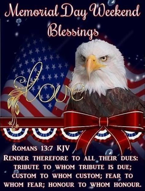 10 Special Happy Memorial Day Weekend Quotes Memorial Day Weekend Quotes, Memorial Day Pictures, Weekend Blessings, Uplifting Christian Quotes, Happy Birthday Funny Humorous, Happy Memorial Day Weekend, Family Guy Quotes, Memorial Day Quotes, Weekend Images