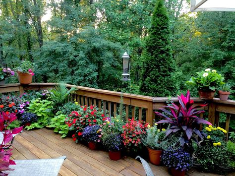 Flower Deck Ideas, Deck Potted Plants, Flowers On Deck, Plants On Deck Ideas, Deck Flowers, Plants On Deck, Spring Landscaping, Front Patio, Outdoor Decor Backyard