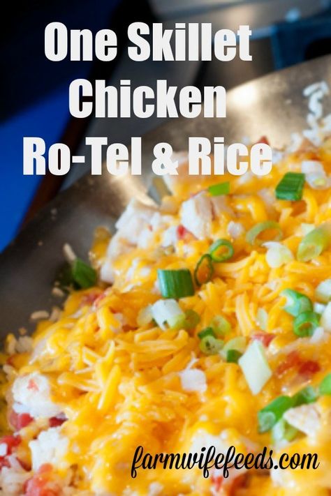 Rotel With Chicken, Chicken Rice Rotel Casserole, Rice And Rotel Recipes, Chicken Rotel Rice Recipes, Rotel Chicken Recipes, Rotel And Chicken Recipes, Rotel Chicken And Rice, Electric Skillet Recipes Chicken, Chicken And Rice Skillet Easy