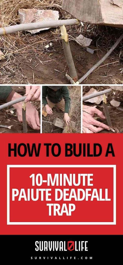 Deadfall Trap, Outdoor Hacks, Diy Survival, Shtf Survival, Shtf Preparedness, Emergency Survival Kit, Native American Wisdom, Survival Techniques, Prepper Survival