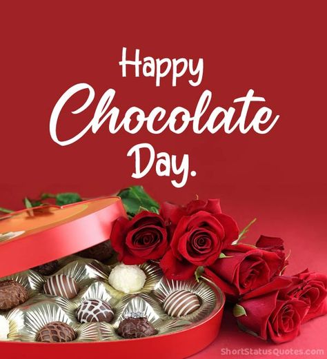 Happy Chocolate Day My Love, Chocolate Day Status, Happy Chocolate Day Wishes, Happy Chocolate Day Images, Promise Day Images, Chocolate Day Images, Status Captions, Happy Propose Day, Good Morning Clips