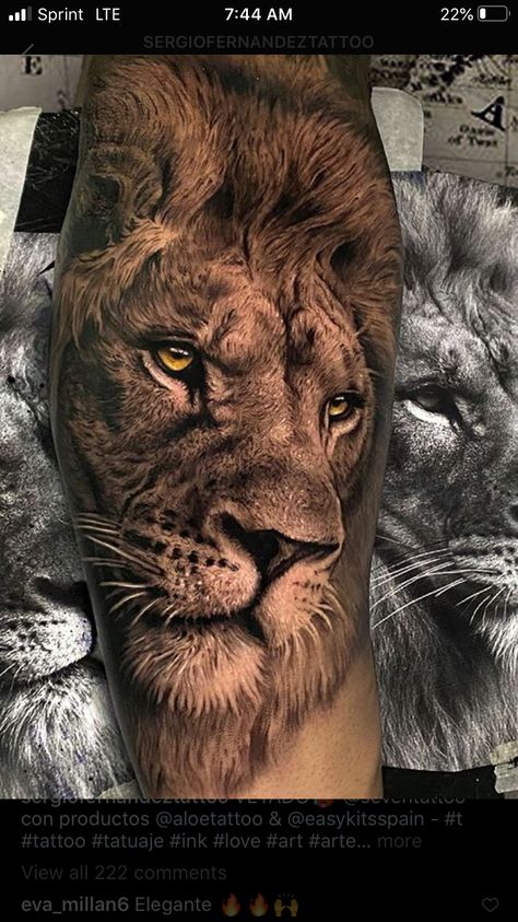 Man Lion Tattoo, Men’s Lion Tattoo, Lion Tattoo Realistic, Growling Lion Tattoo, Mean Lion Tattoo, Lion Realism Tattoo, Realism Lion Tattoo, Lion Forearm Tattoos, Mens Lion Tattoo