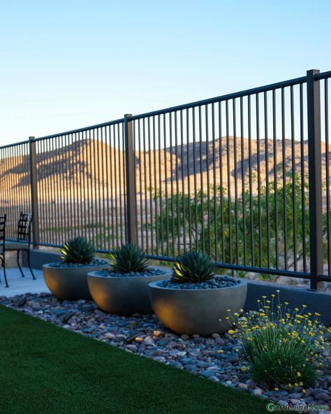 GardeningNorm - Good ideas about backyard 2022 Arizona Fence Ideas, Arizona Backyard Ideas, Arizona Backyard, Pottery Barn Style, Garden 2023, Arizona House, Modern Backyard Landscaping, Backyard Gardening, Modern Backyard