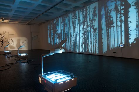 Forest Exhibition, Projection Installation, Exhibition Display Design, Overhead Projector, Shadow Theatre, Exhibition Stands, Projection Mapping, Blue Forest, Shadow Art