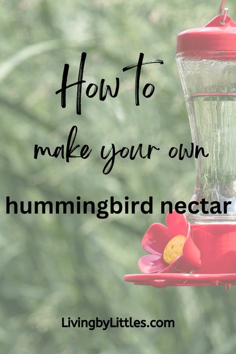 How to Make Your Own Hummingbird Nectar How To Make Hummingbird Nectar, Hummingbird Recipe, Hummingbird Mix, Hummingbird Nectar Recipe, Red Food Dye, Red Hummingbird, Hummingbird Food, Hummingbird Nectar, Yummy Deserts