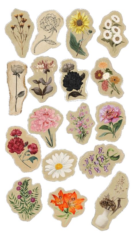 Sticker For Scrapbook Printable, Penpal Stickers Printable, Sticker Page Journal, Vintage Design For Scrapbook Sticker, Printable Stickers Hd, Scrapbook Flower Stickers Printable, Nature Stickers Aesthetic, Random Stickers Printable, Journal Printables Stickers Aesthetic